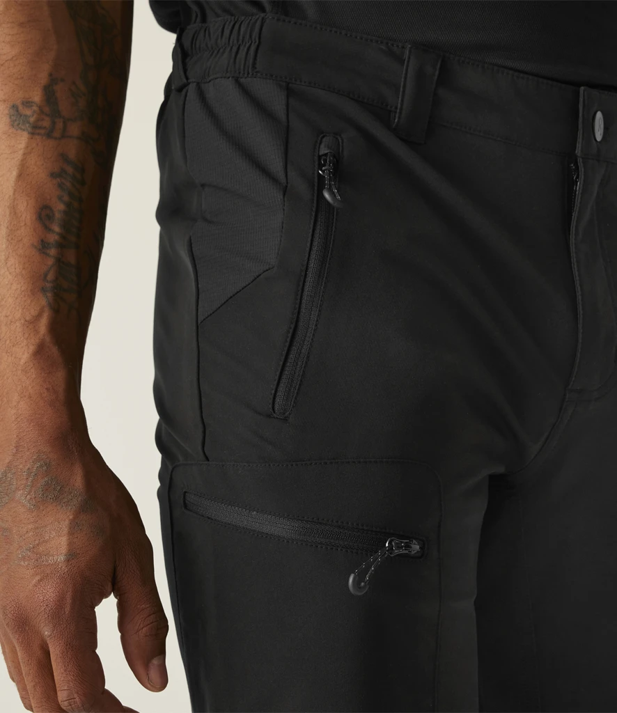 Regatta Prolite Stretch Shorts