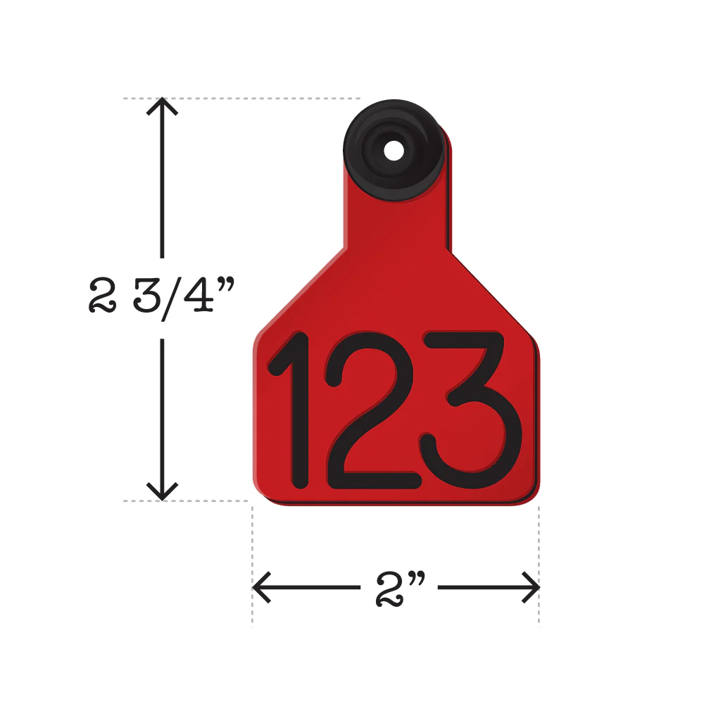 SMALL CATTLE EAR TAGS
