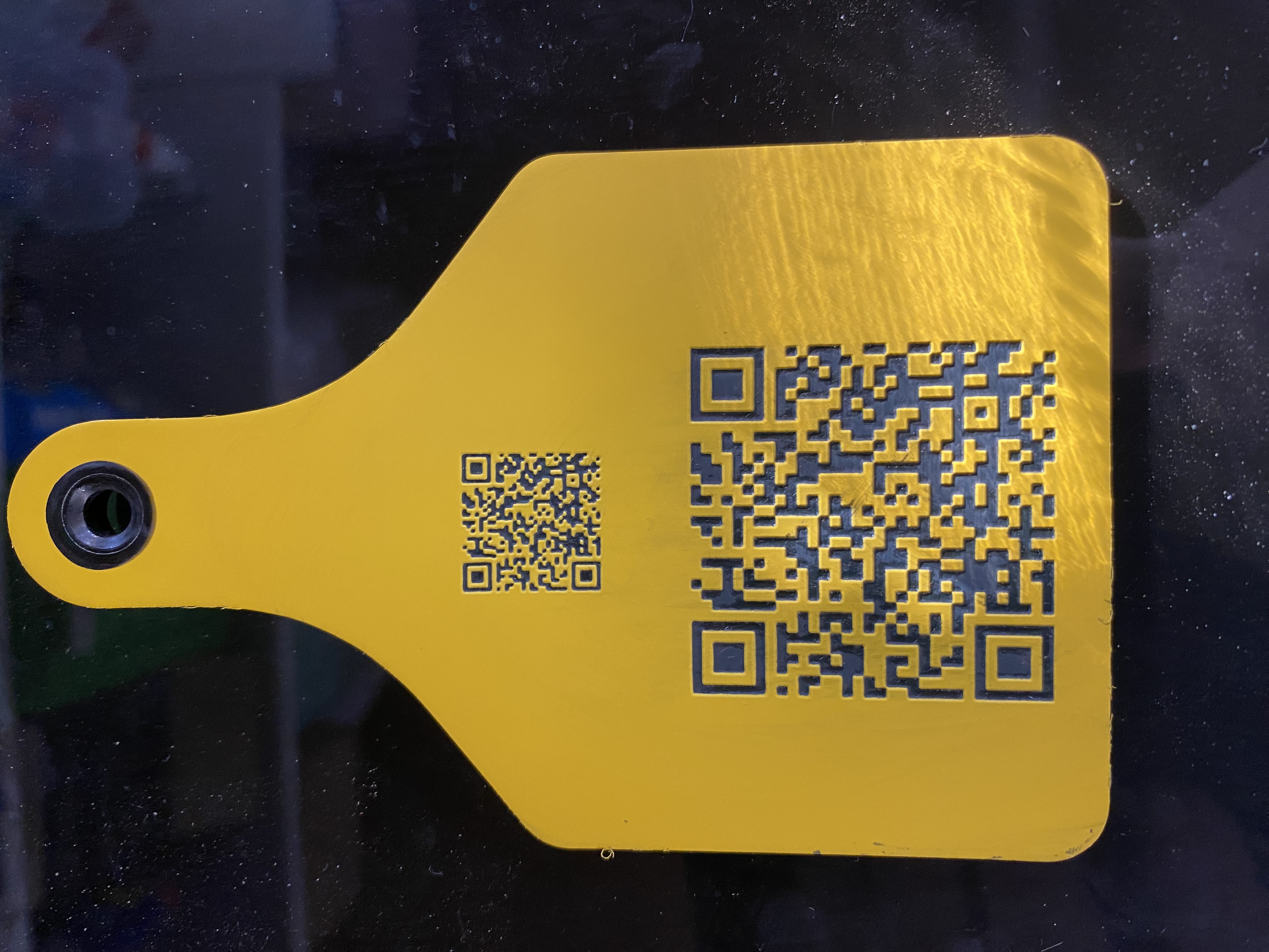 QR Code Engraving – Same on All Tags (per order)