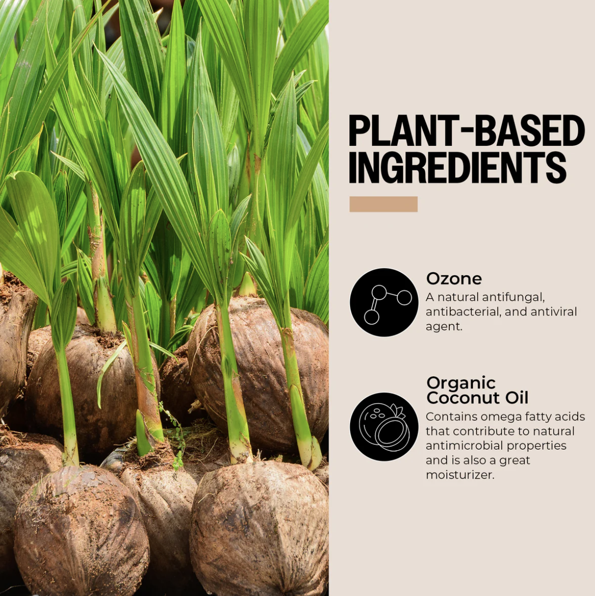 PurO3 Ozone-Infused Coconut Oil