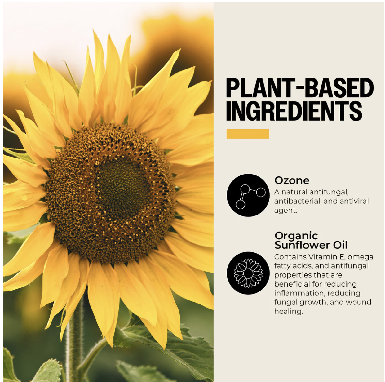 Ozone-Infused Sunflower Oil