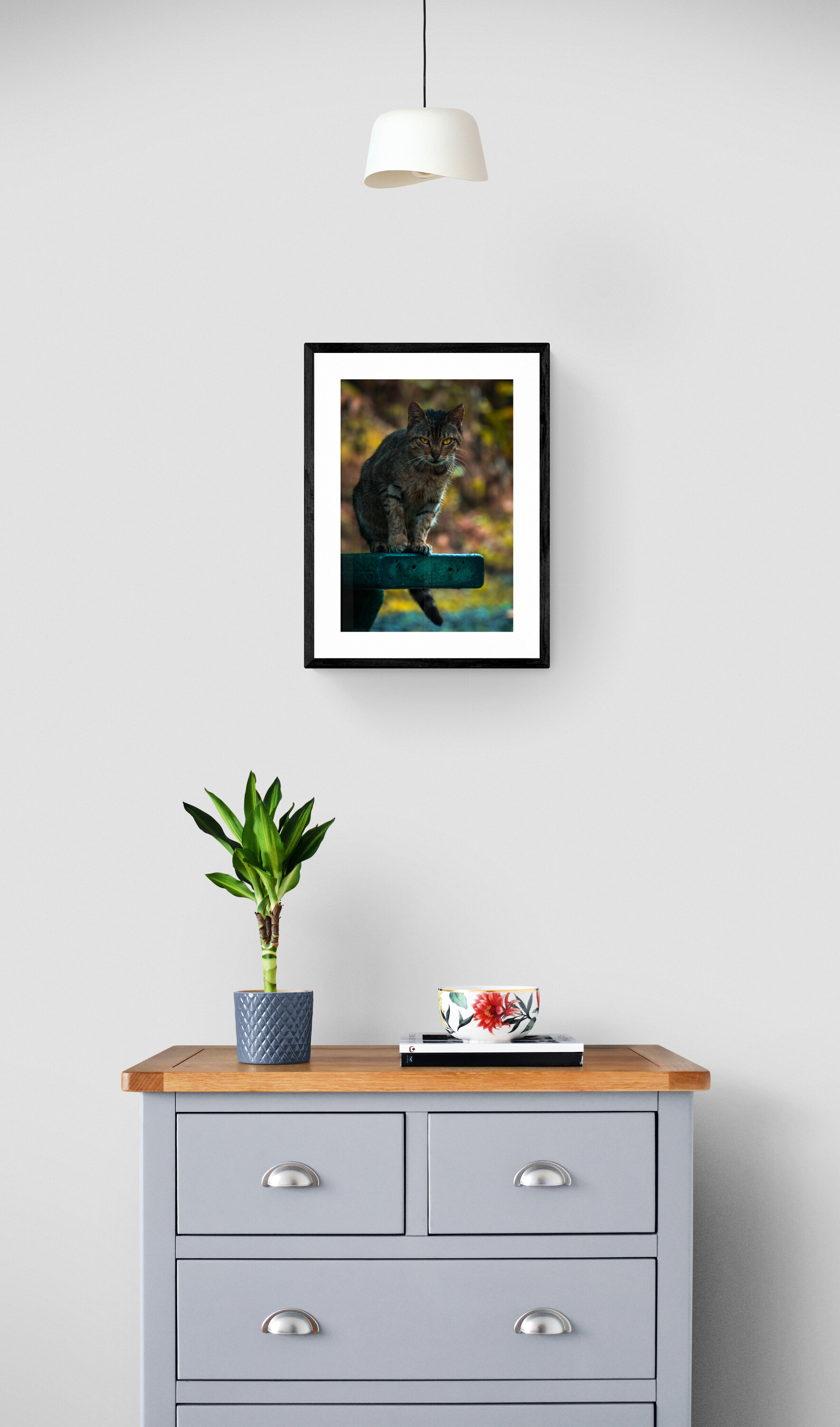 Beautiful Jungle Tabby Cat