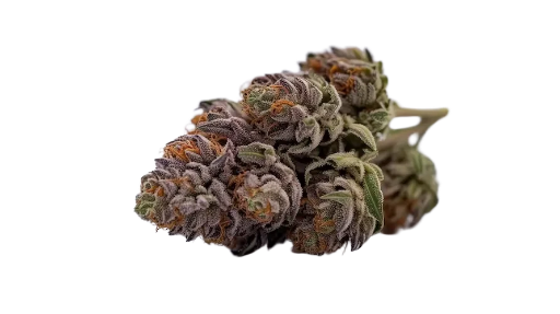 Permanent Cherry Flower