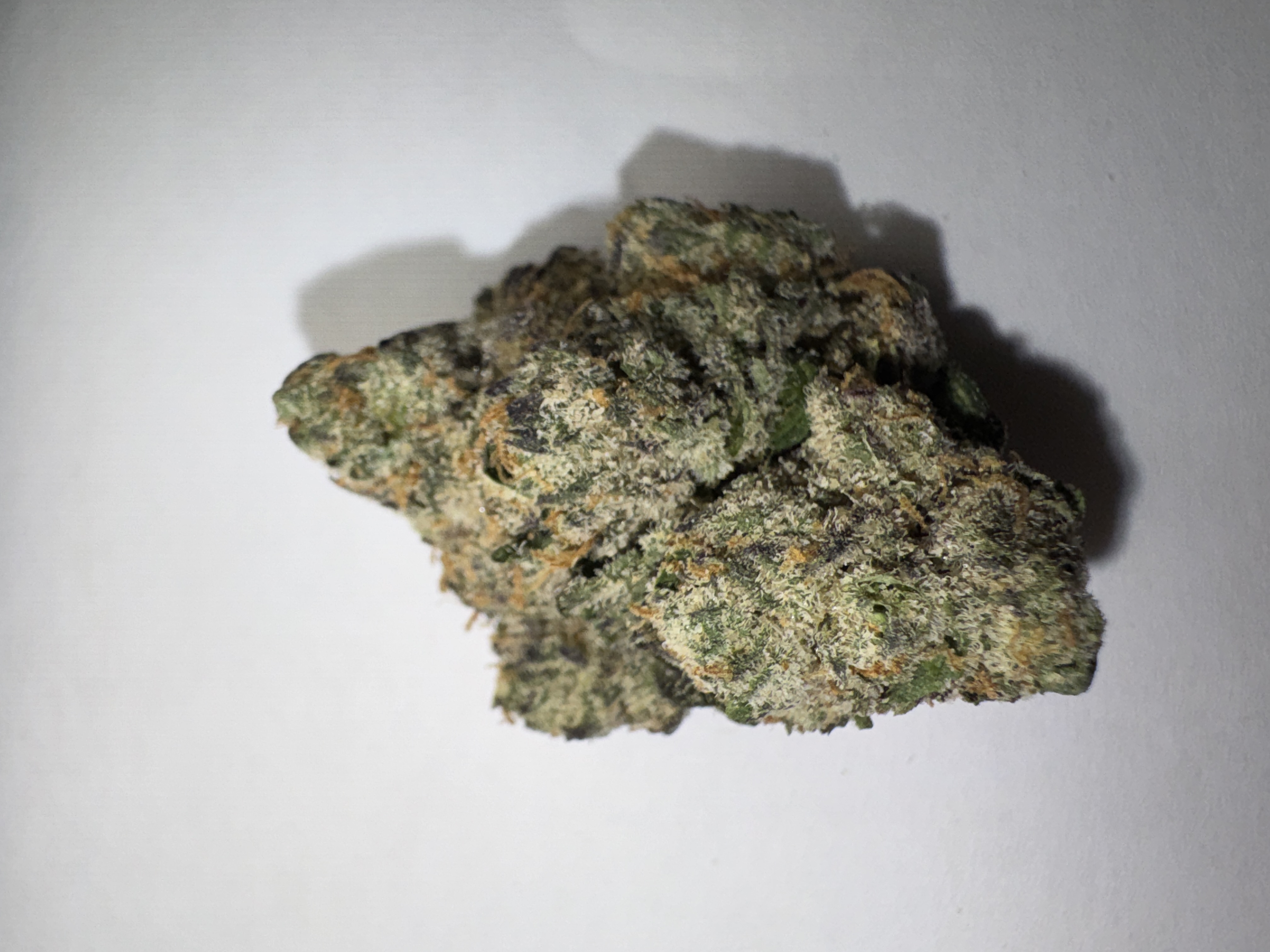 Candy Cartel $20-119