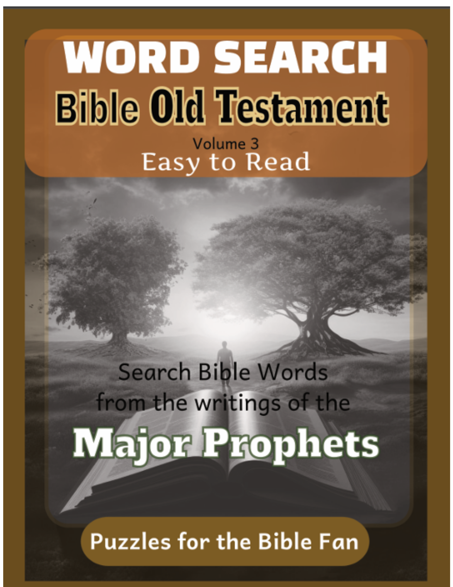 Word Search Bible Old Testament - Major Prophets (paperback)