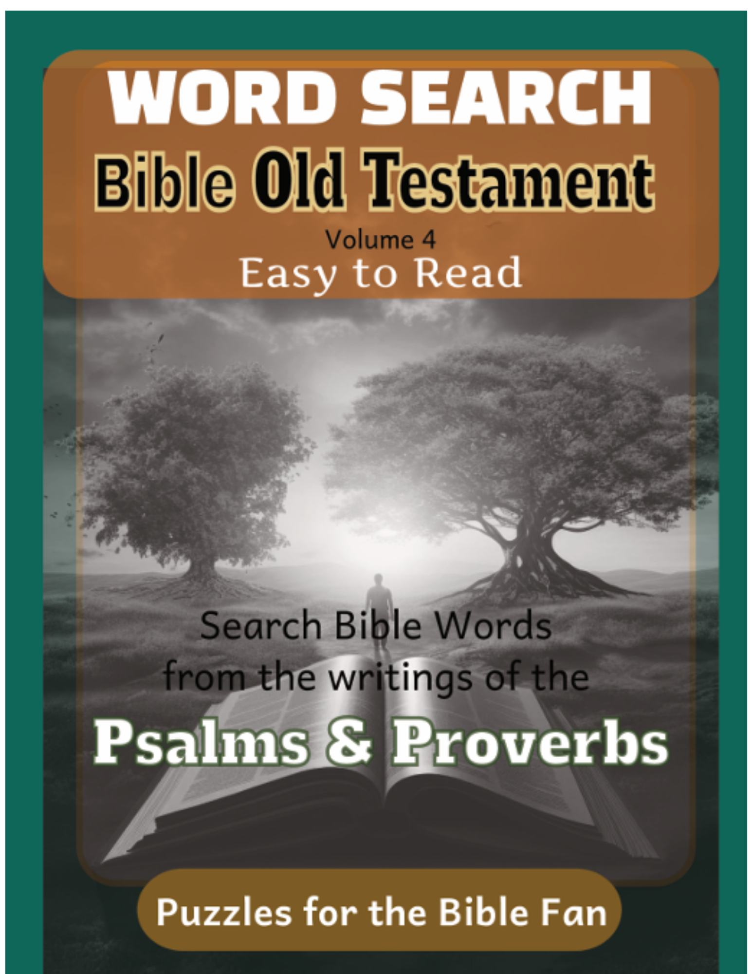 Word Search Bible Old Testament Volume 4 (paperback)
