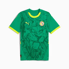 Senegal National Team Football Jersey