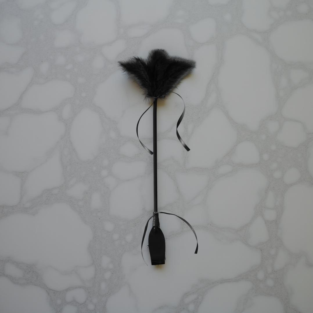 Cravache Plumeau Noir 