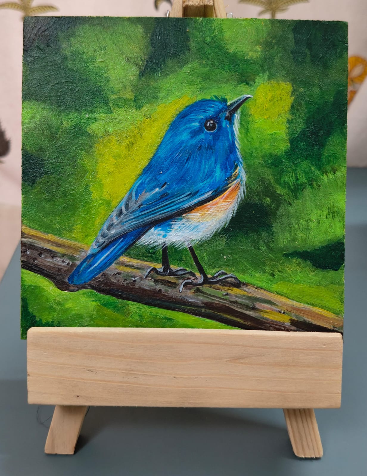 Himalayan Bluetail bird