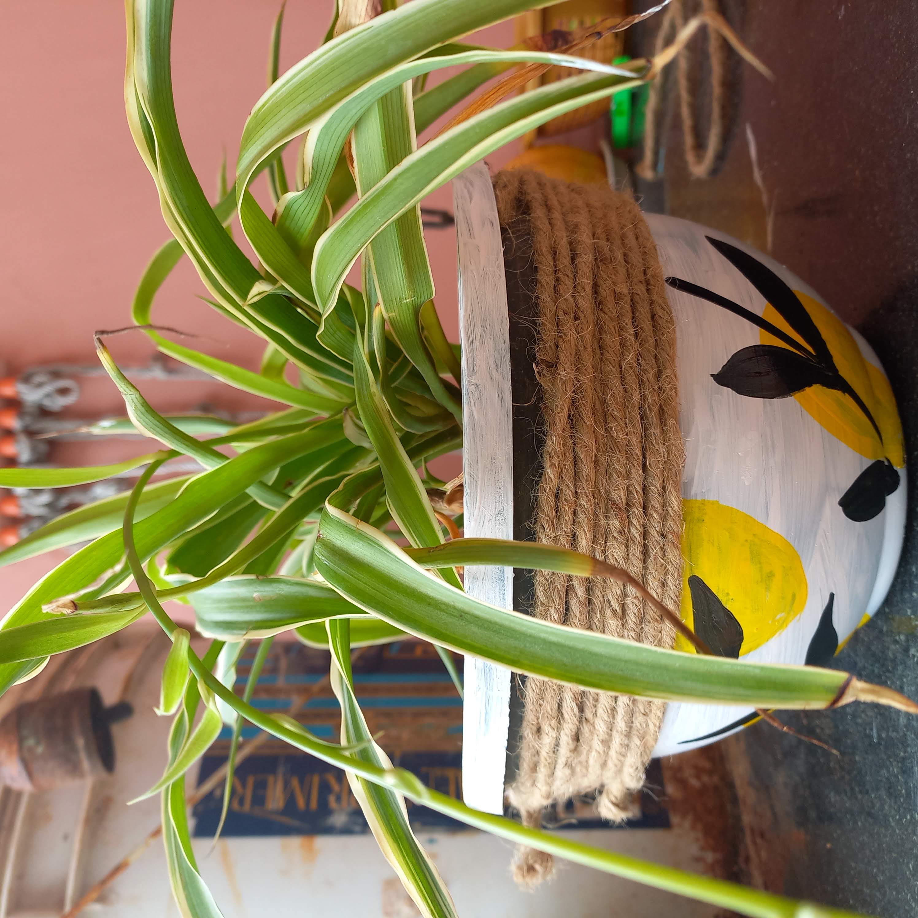 Hand-painted natural jute rope detailing clay pot