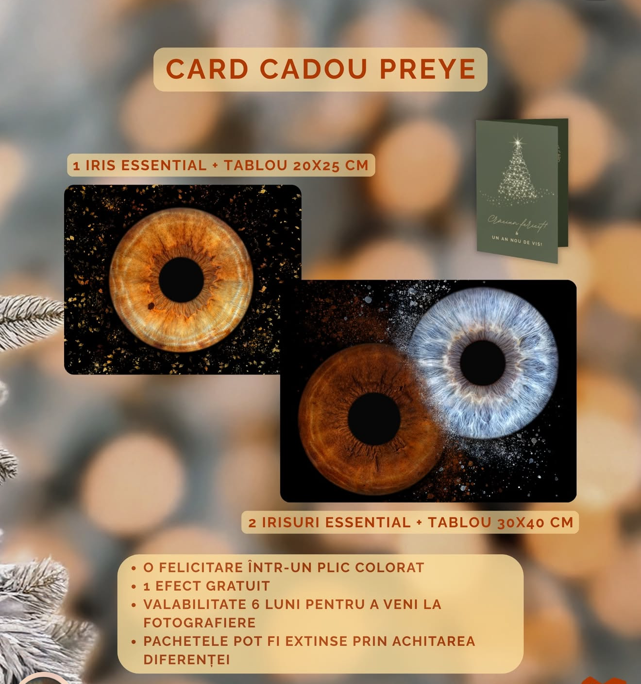 De la artizani, împreună.