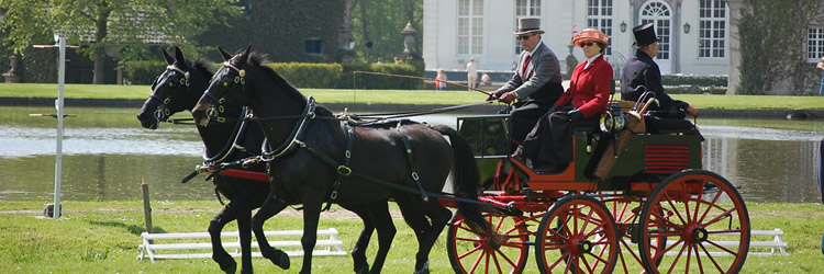 Nieuwjaarsbijeenkomst