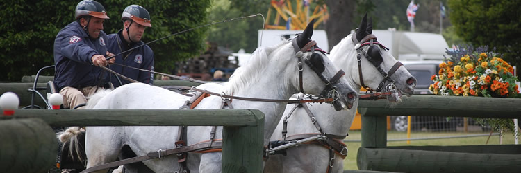 Algemene vergadering