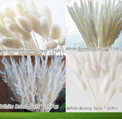 JB BOSZOANA 75 Pcs White Pampas Décor 17"