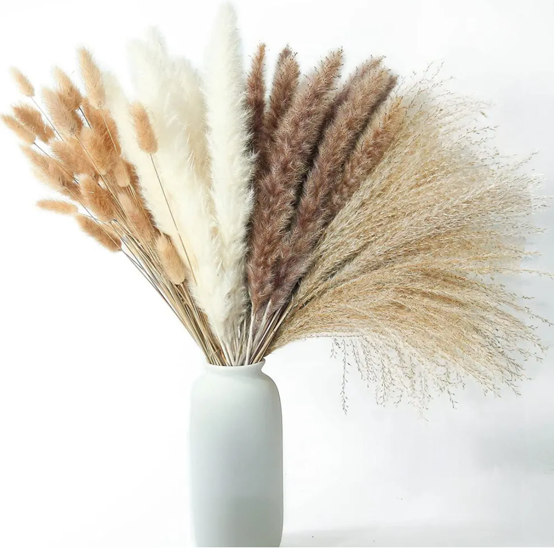 Dried Multi-Colored Pampas Grass Flower Arrangement