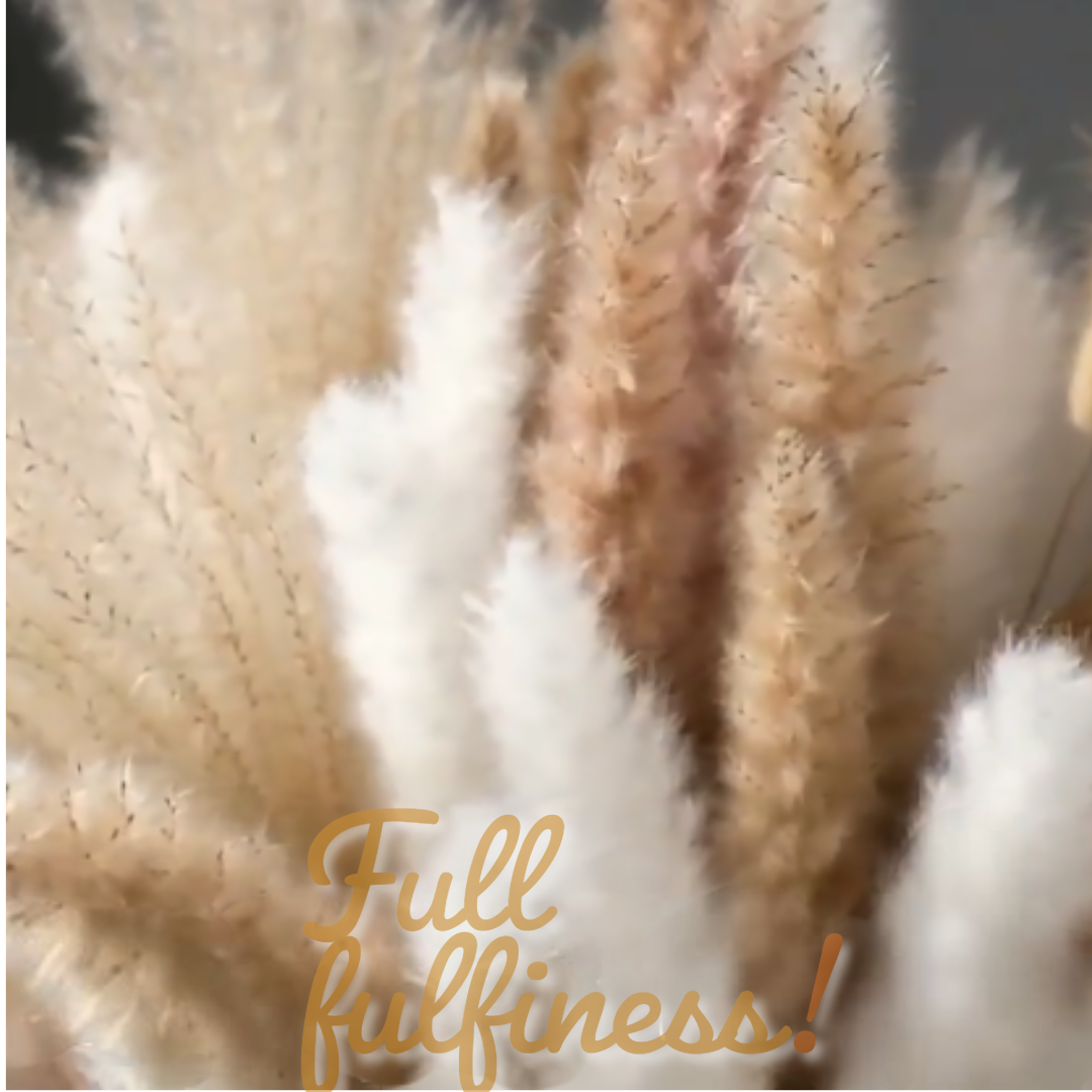 Dried Multi-Colored Pampas Grass Flower Arrangement