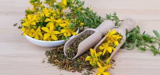 Séance initiale de naturopathie