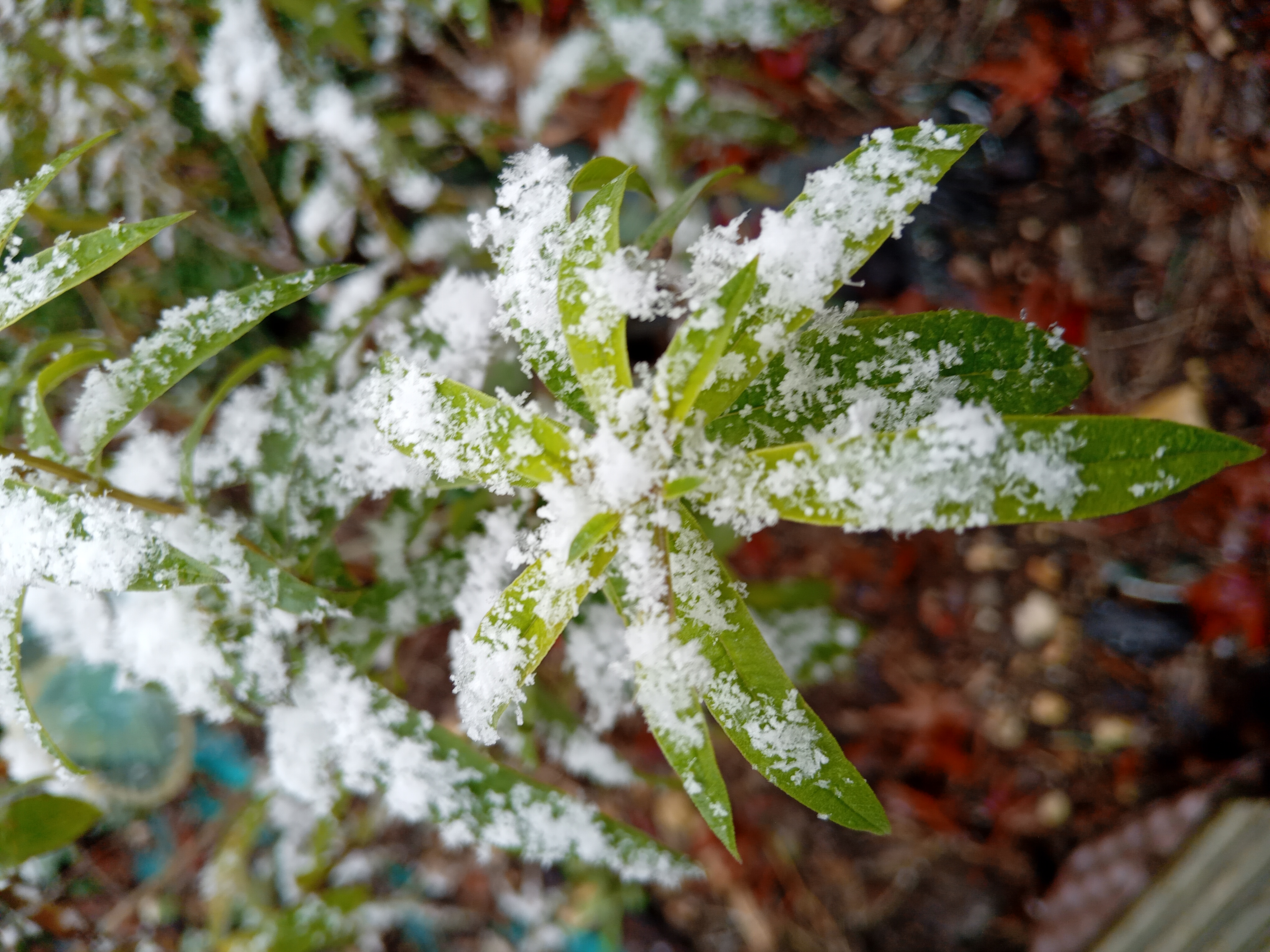 Séance naturopathie de suivi