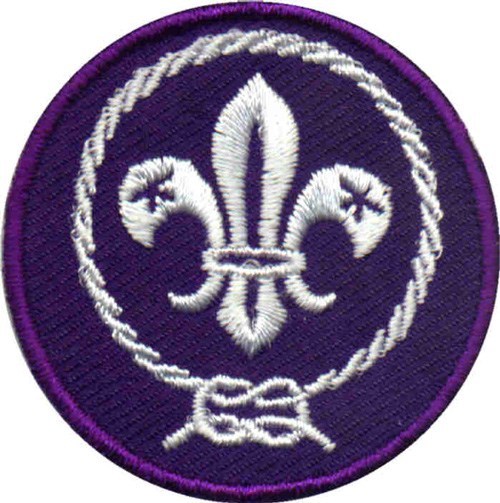 World Scout Emblem Patch