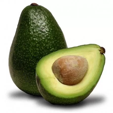 Aguacate Grande -1 Ct