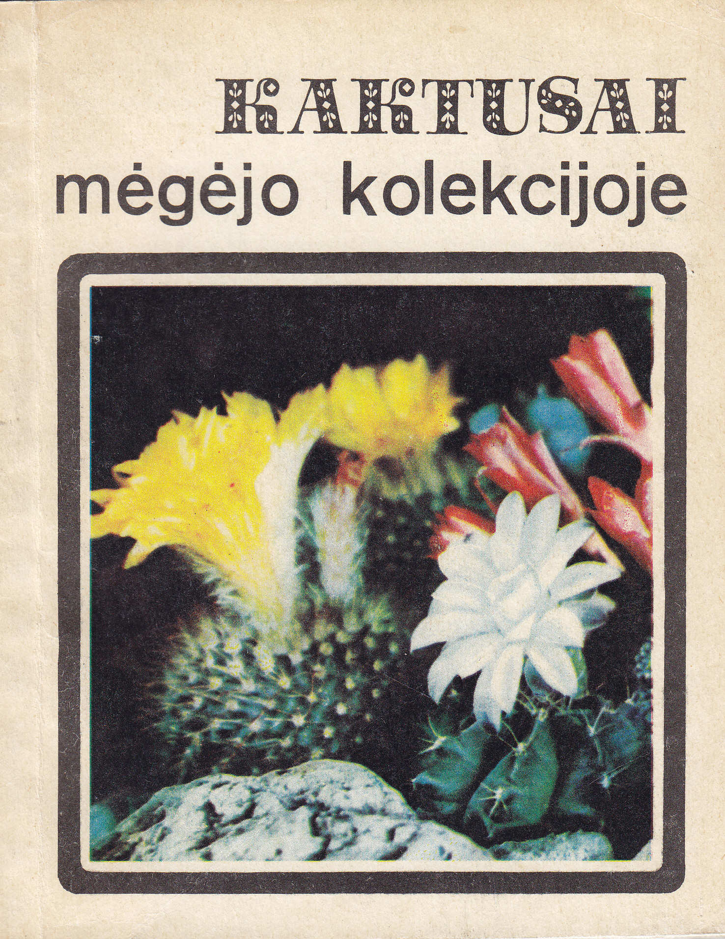 Kaktusai mėgėjo kolekcijoje