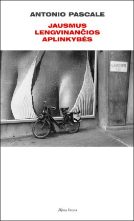 Jausmus lengvinančios aplinkybės