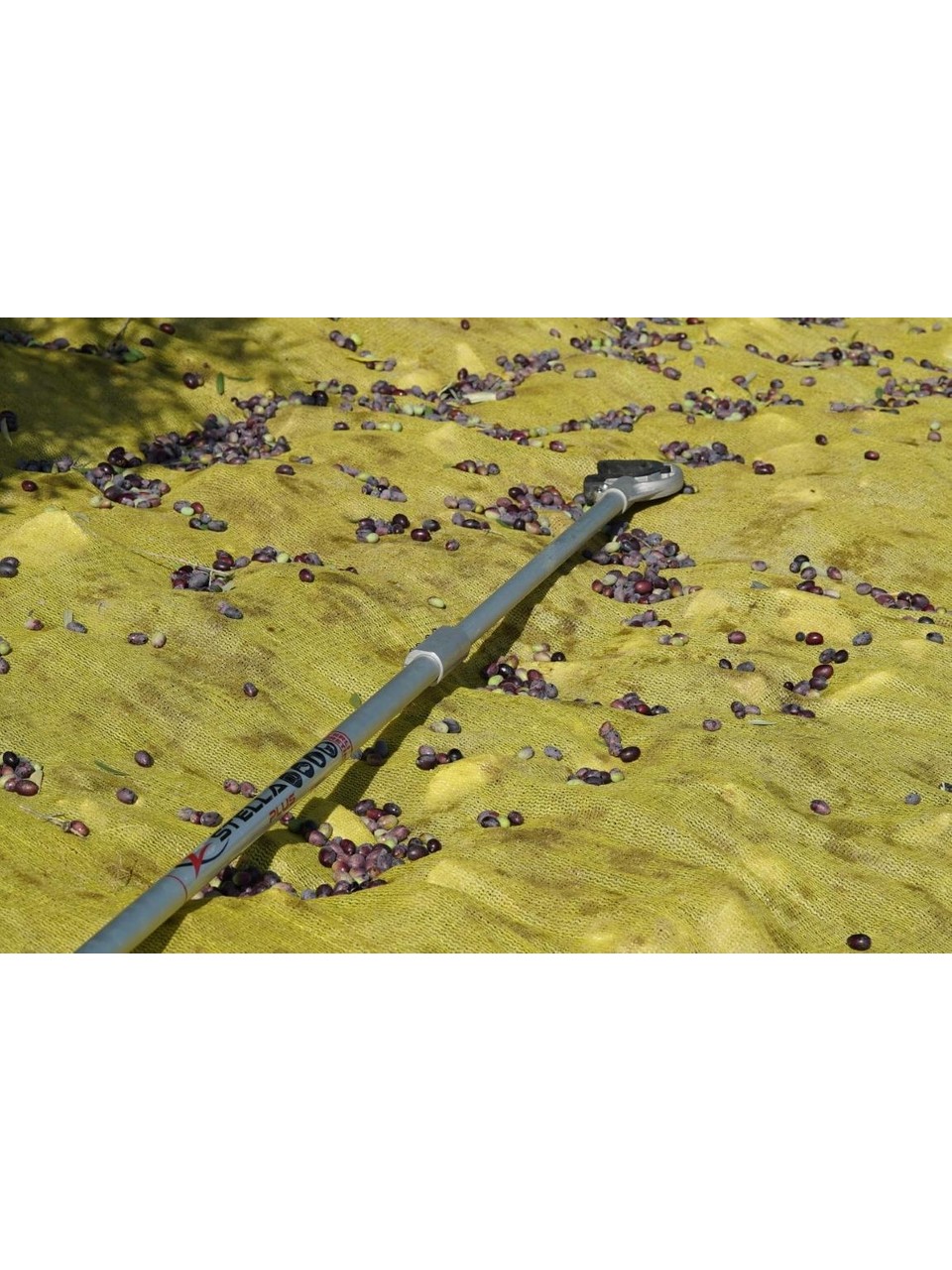 Stella Plus SP1000S - Zeytin Hasat Makinesi