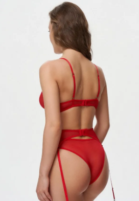 LSMY016 - Corset Garter Lingerie Set