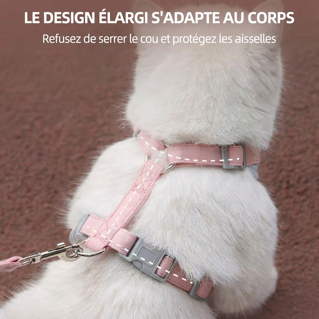 Harnais pour chat 