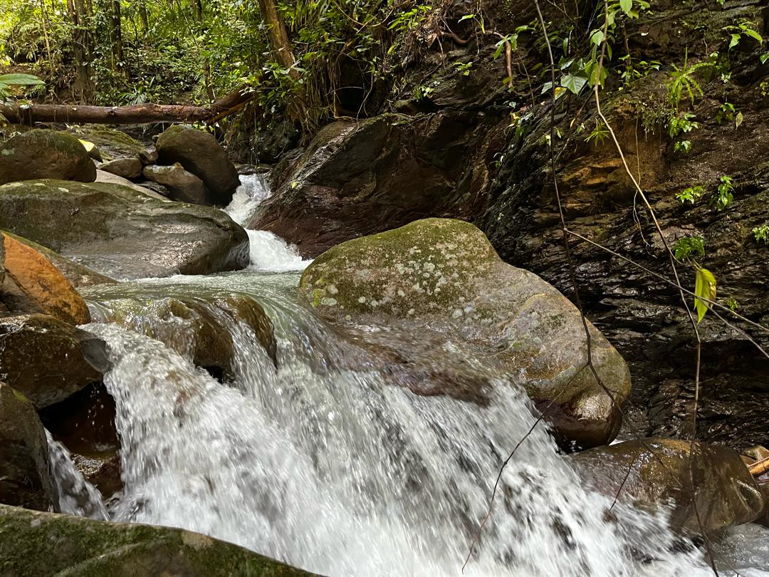 Level 4 - Single Pax/Group + RM60/Guide 