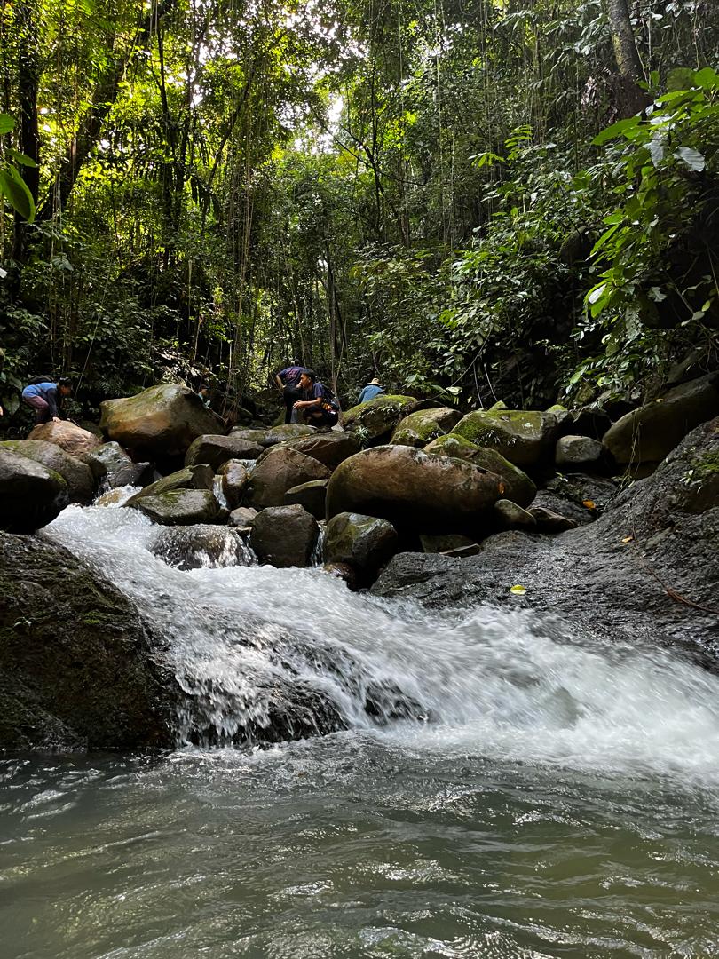 Level 2 - Single Pax/Group + RM35/Guide