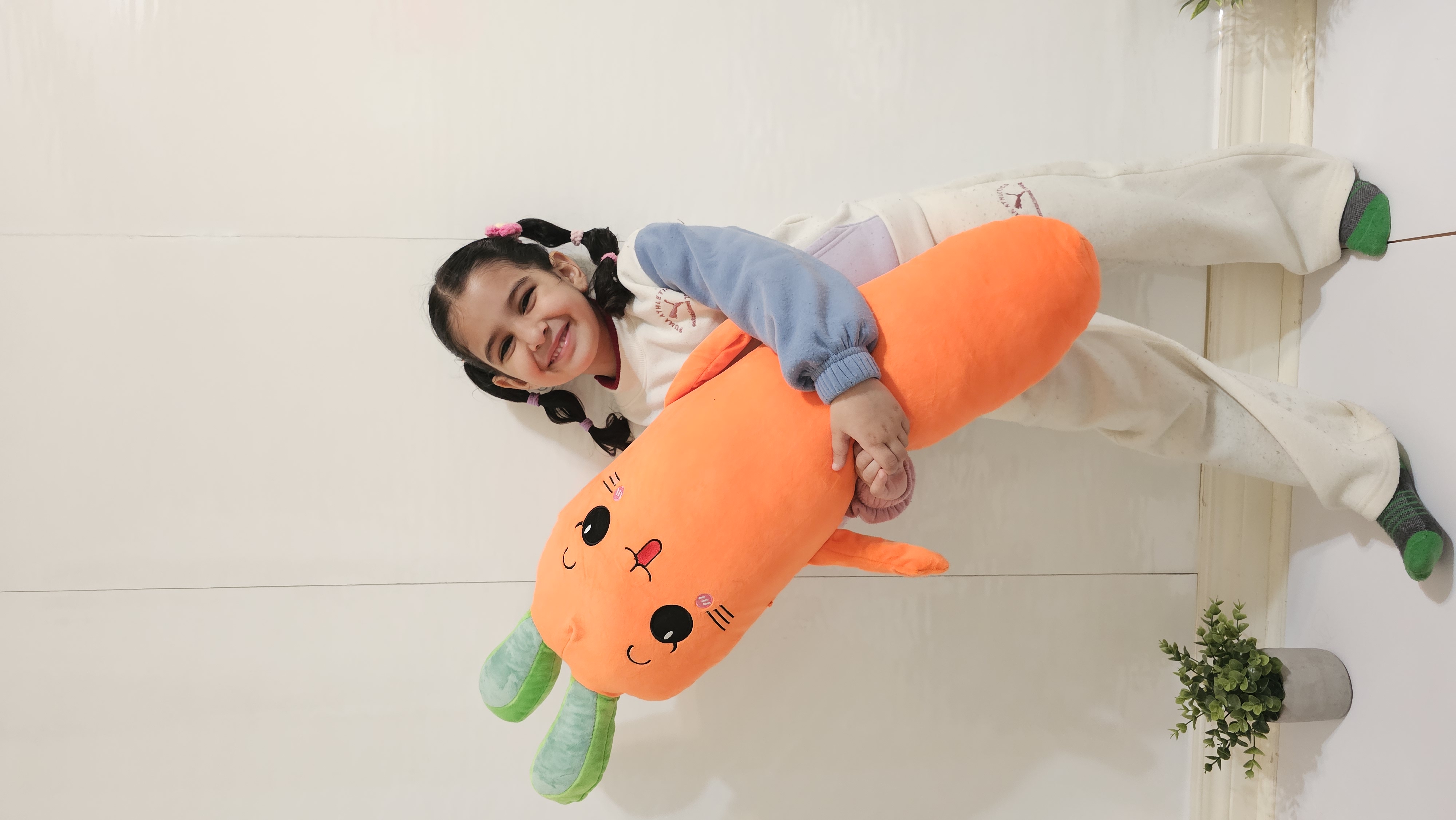 Cute Carrot Plush Pillow
