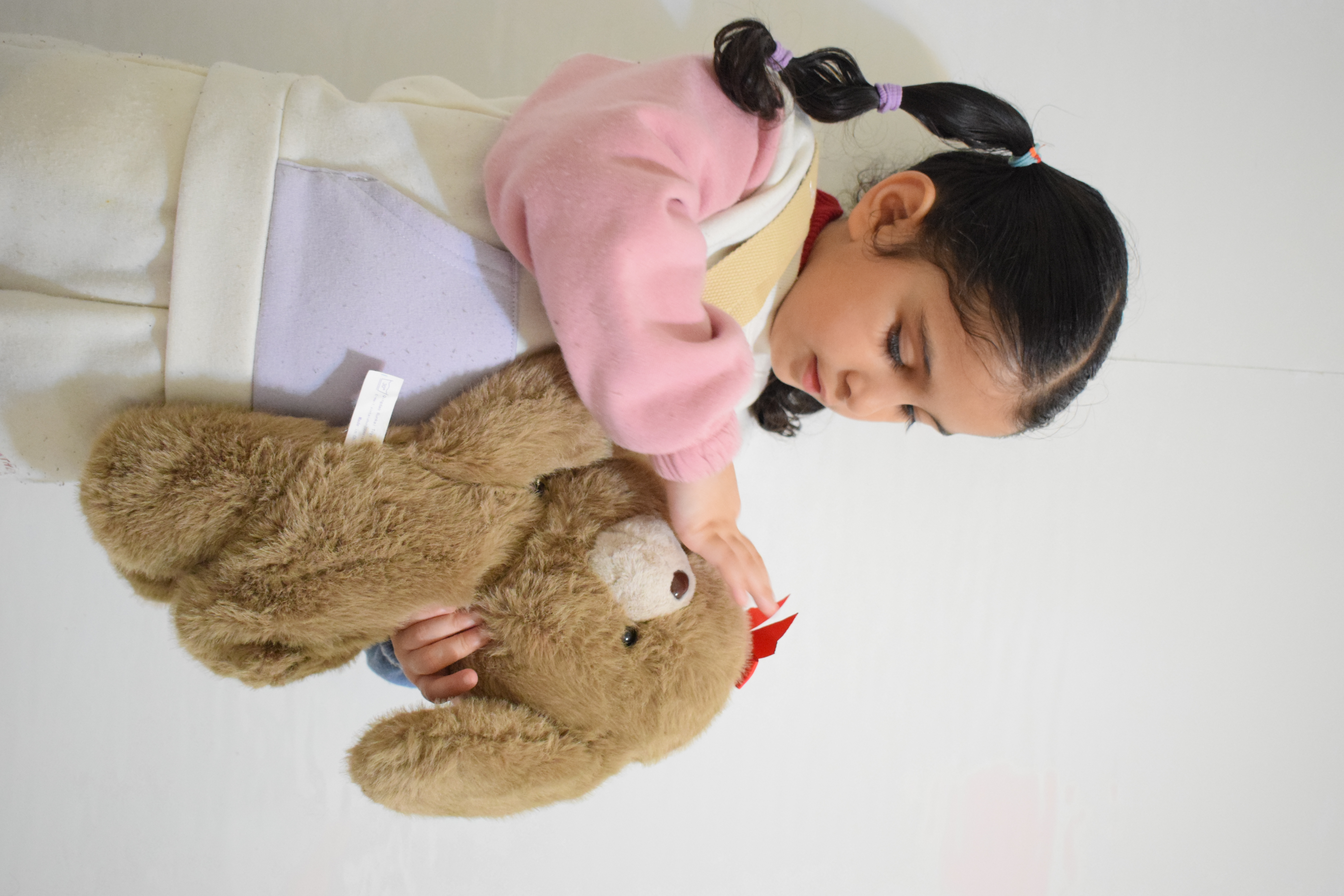 Plush Teddy Bear Sling Bag