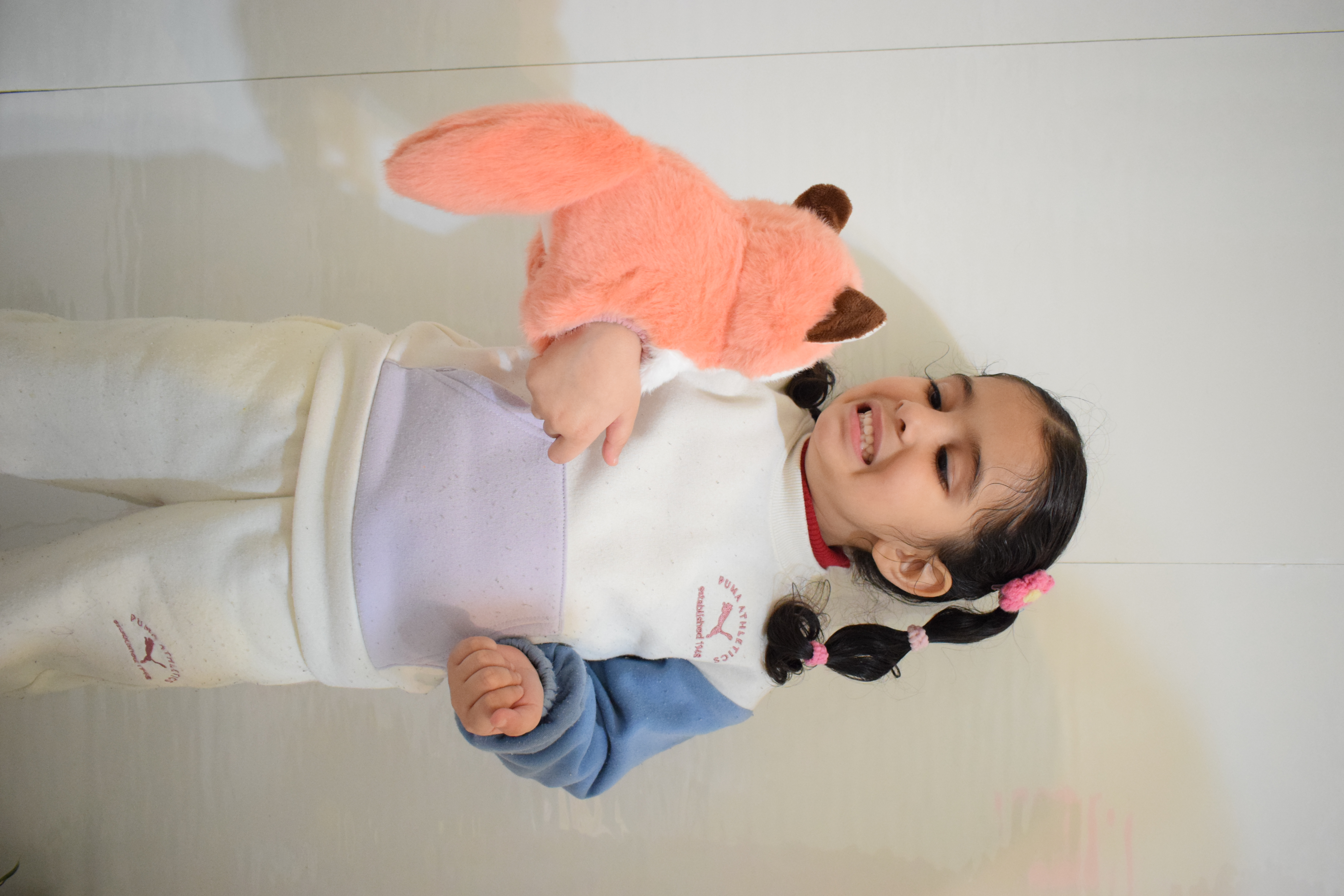 Plush Toy Wrist Band 