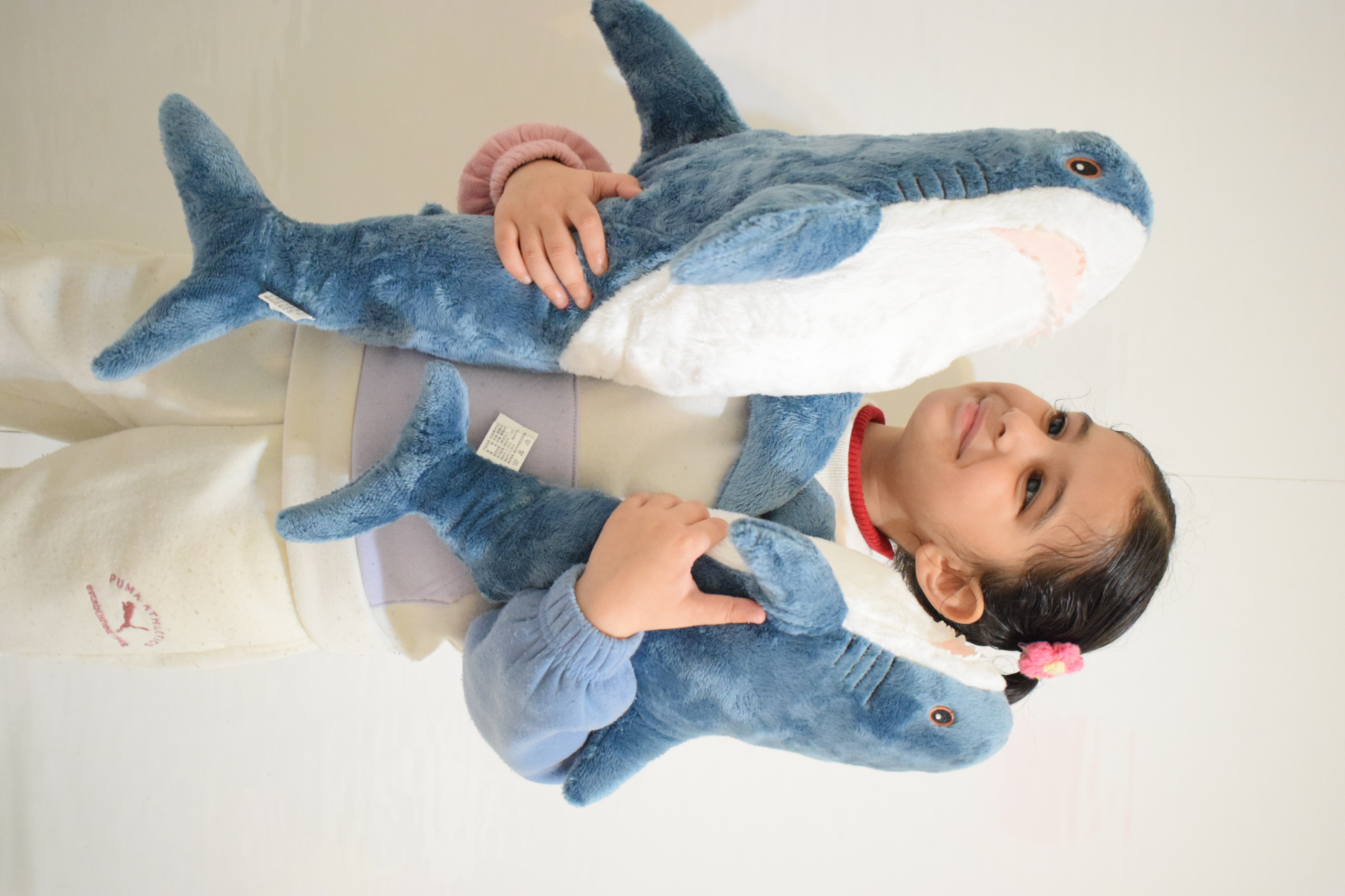 Plush Shark Toy