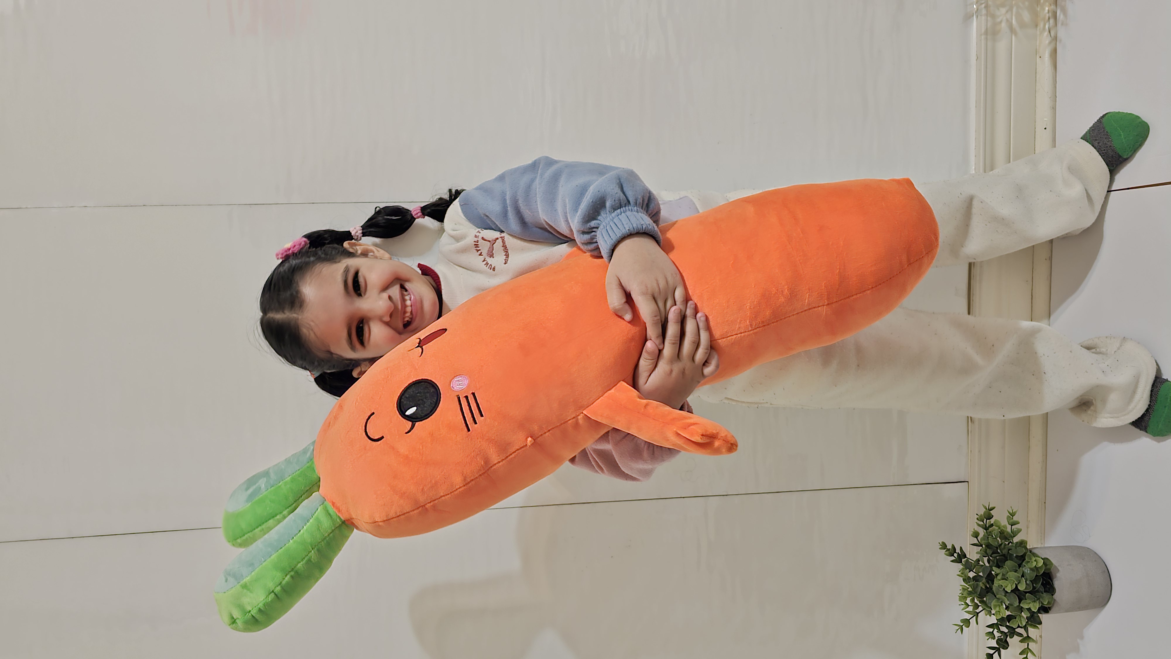 Cute Carrot Plush Pillow