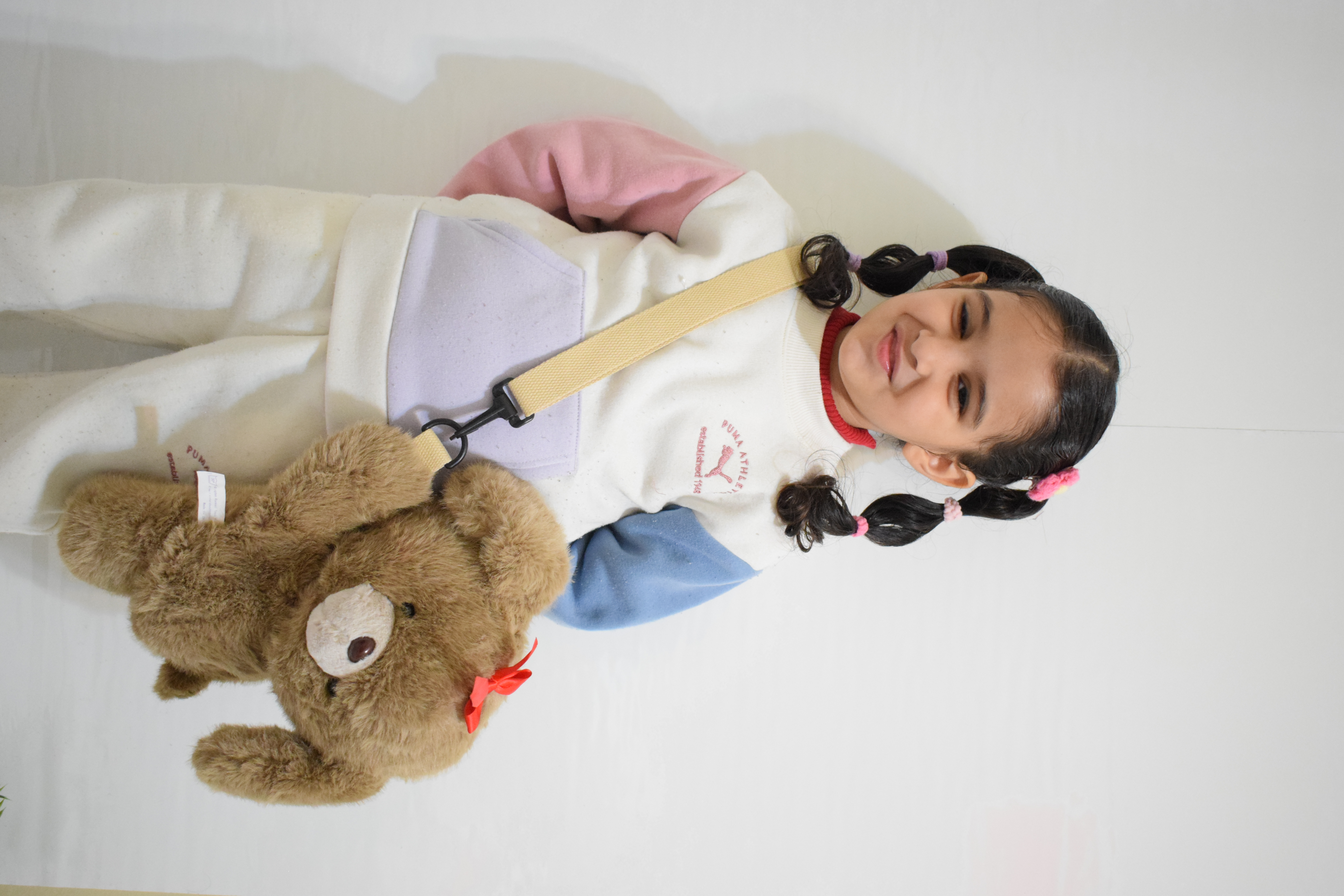 Plush Teddy Bear Sling Bag