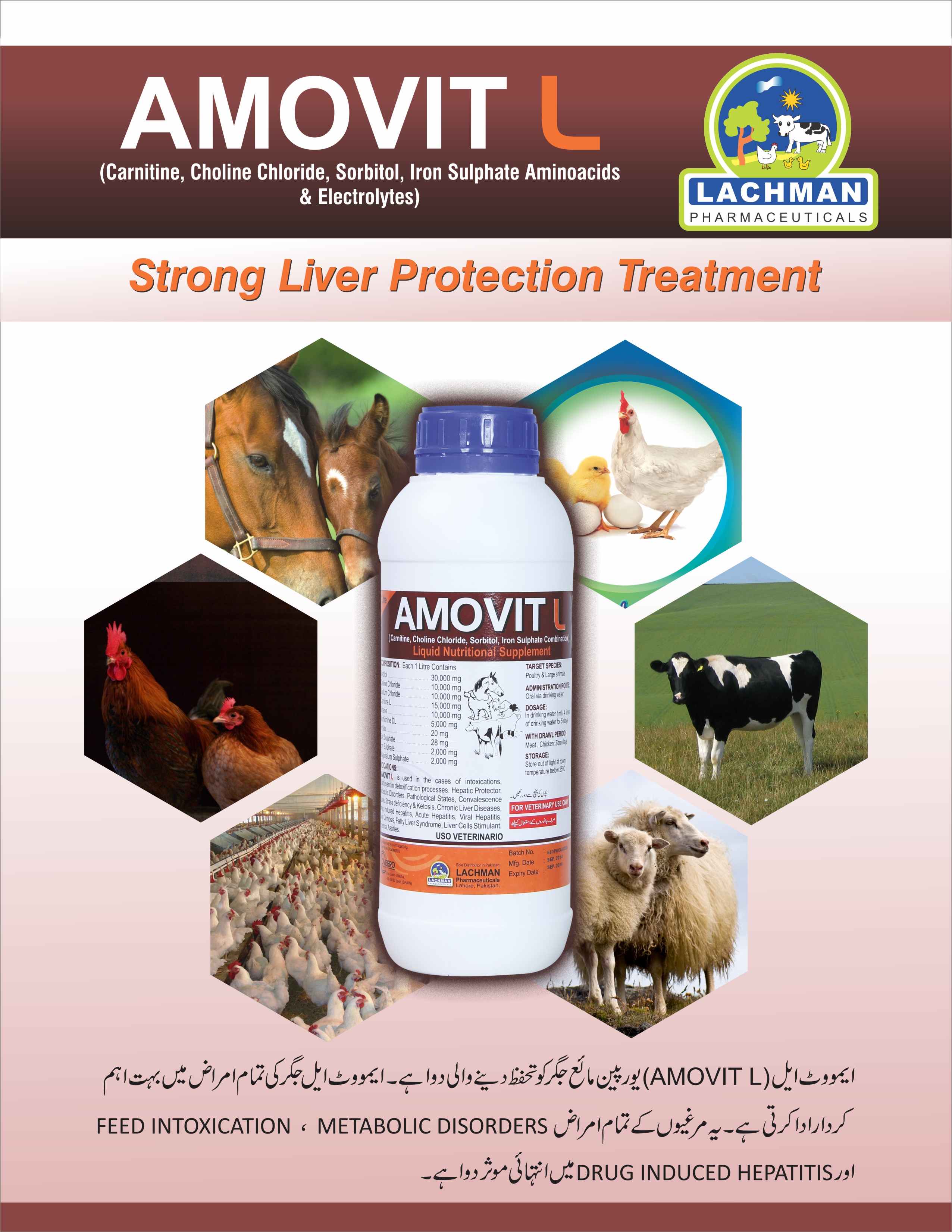 AMOVIT L Liquid Nutritional Supplement