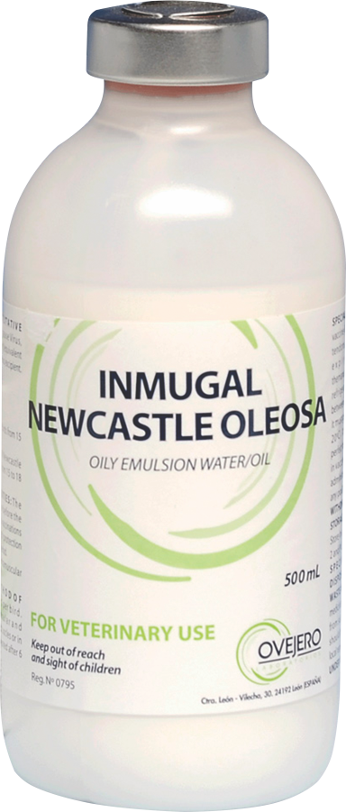 Inmugal Newcastle Oleosa