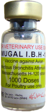 INMUGAL IBH - 120
