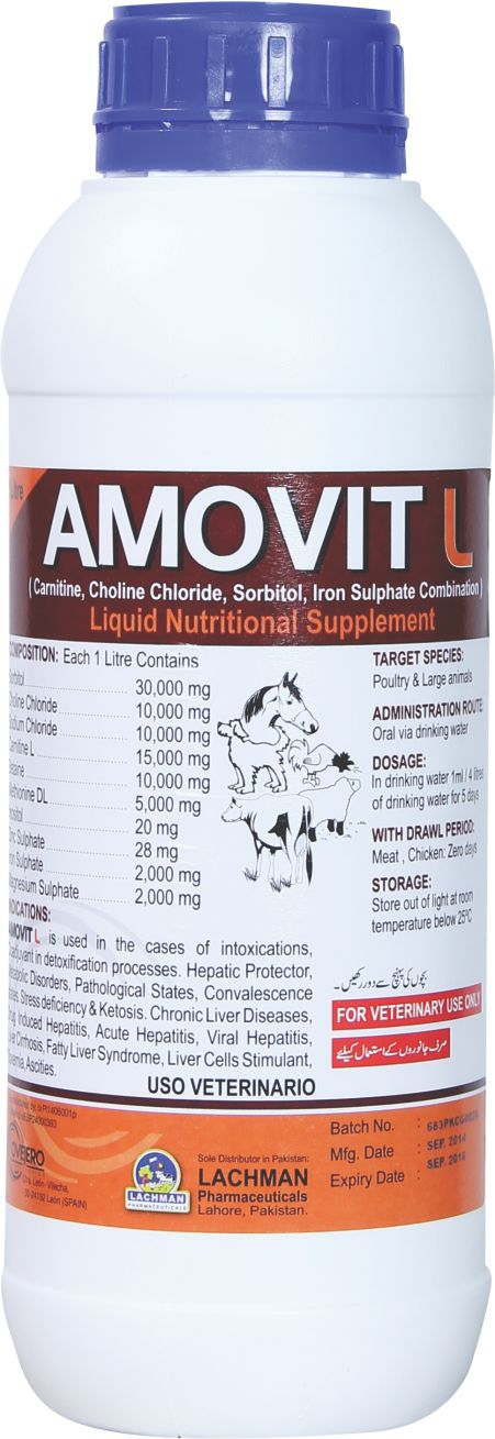 AMOVIT L Liquid Nutritional Supplement