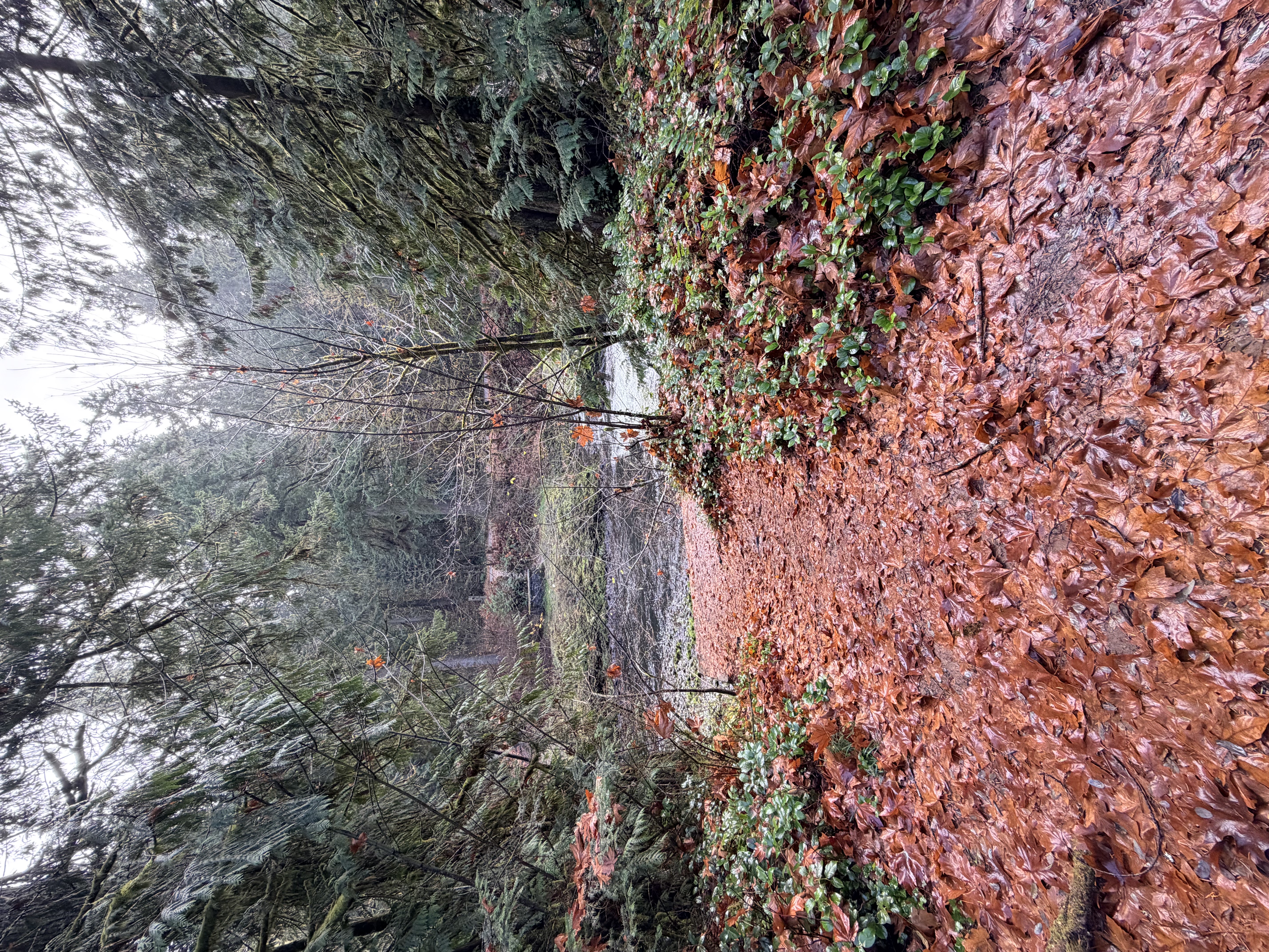 Rainbow Falls State Park Photo Bundle (5 Natural Images)