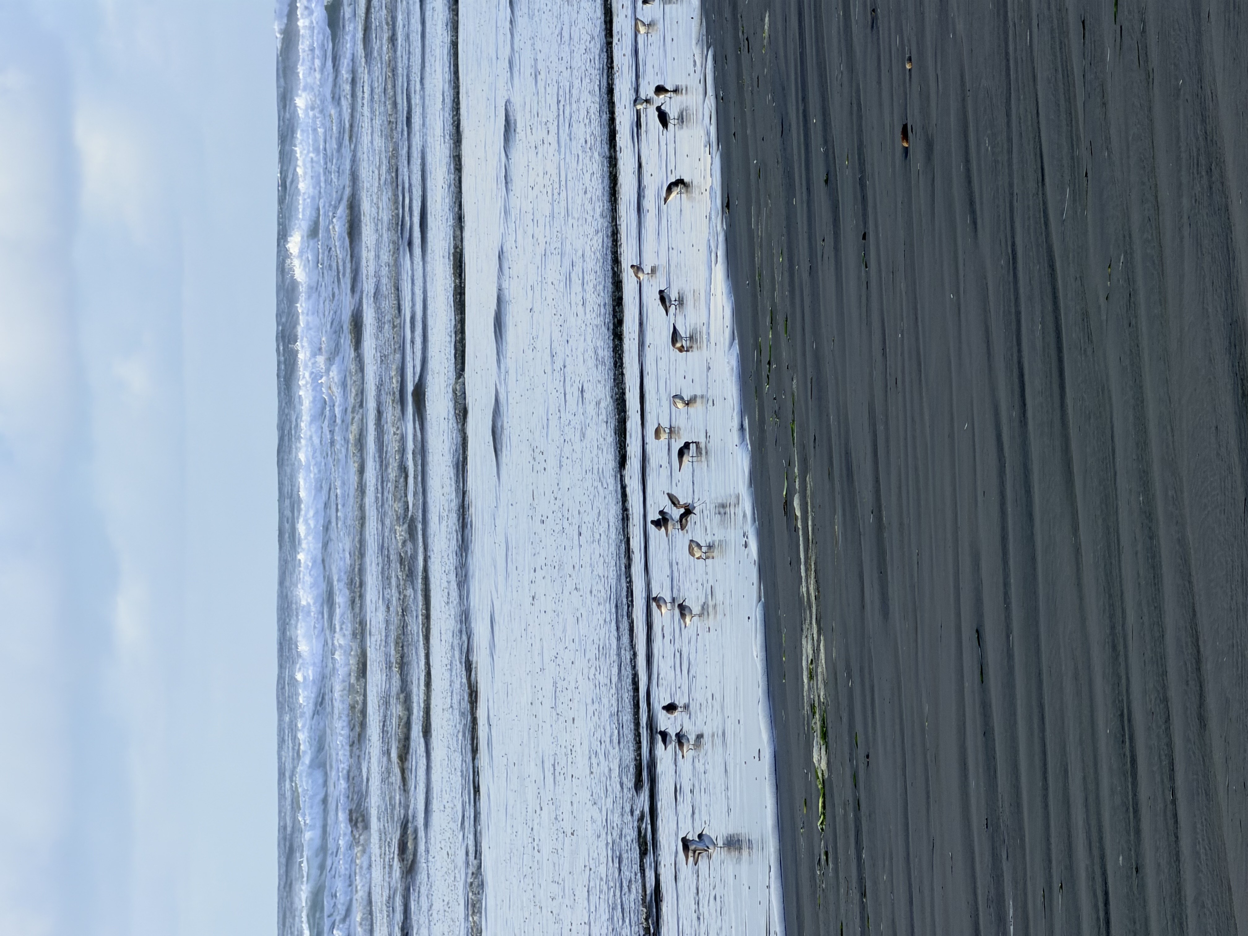 Grayland State Park Fall Photo Bundle (5 Natural Images)