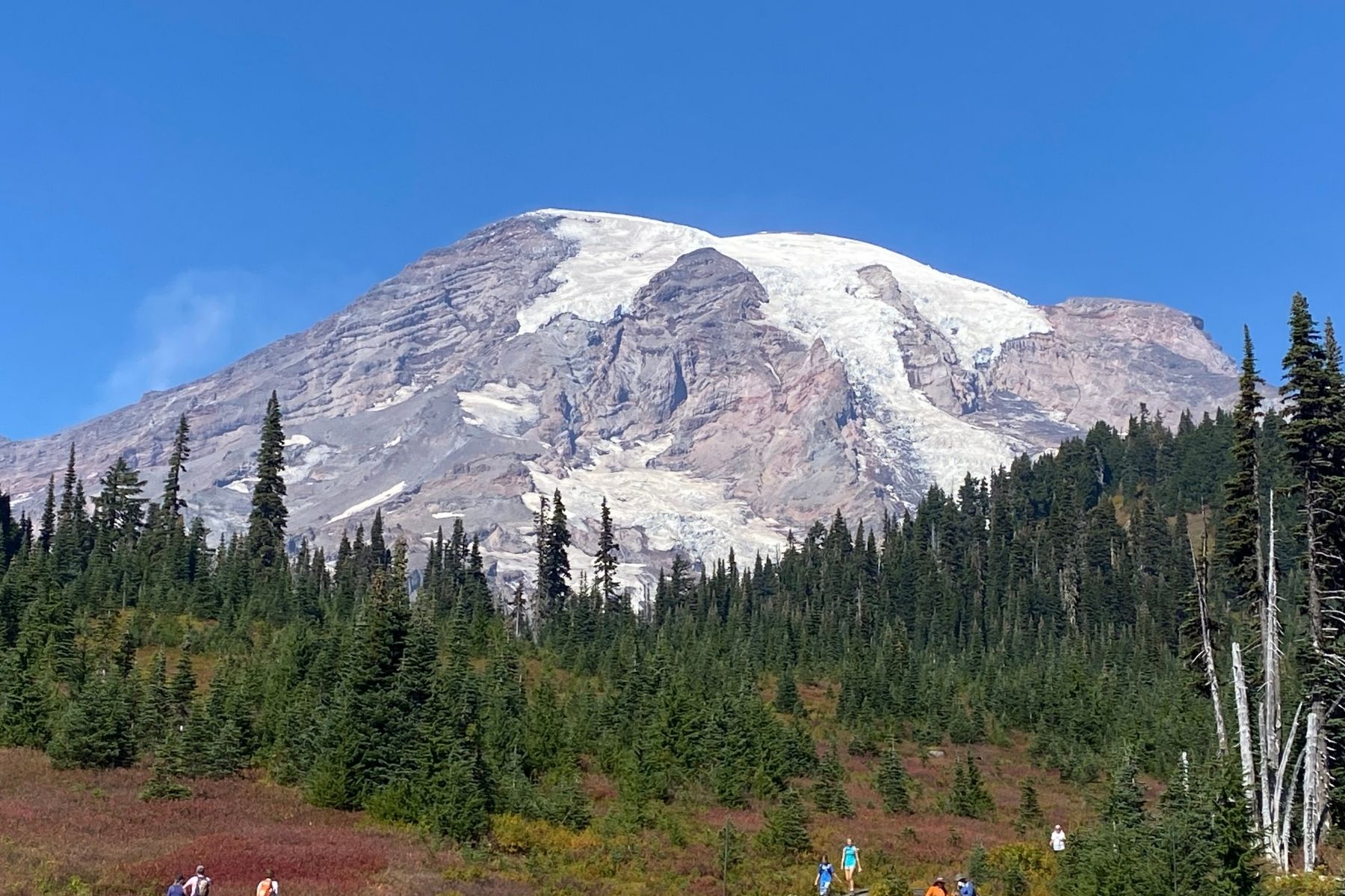 Mount Rainier Photo Bundle – 5 Pack