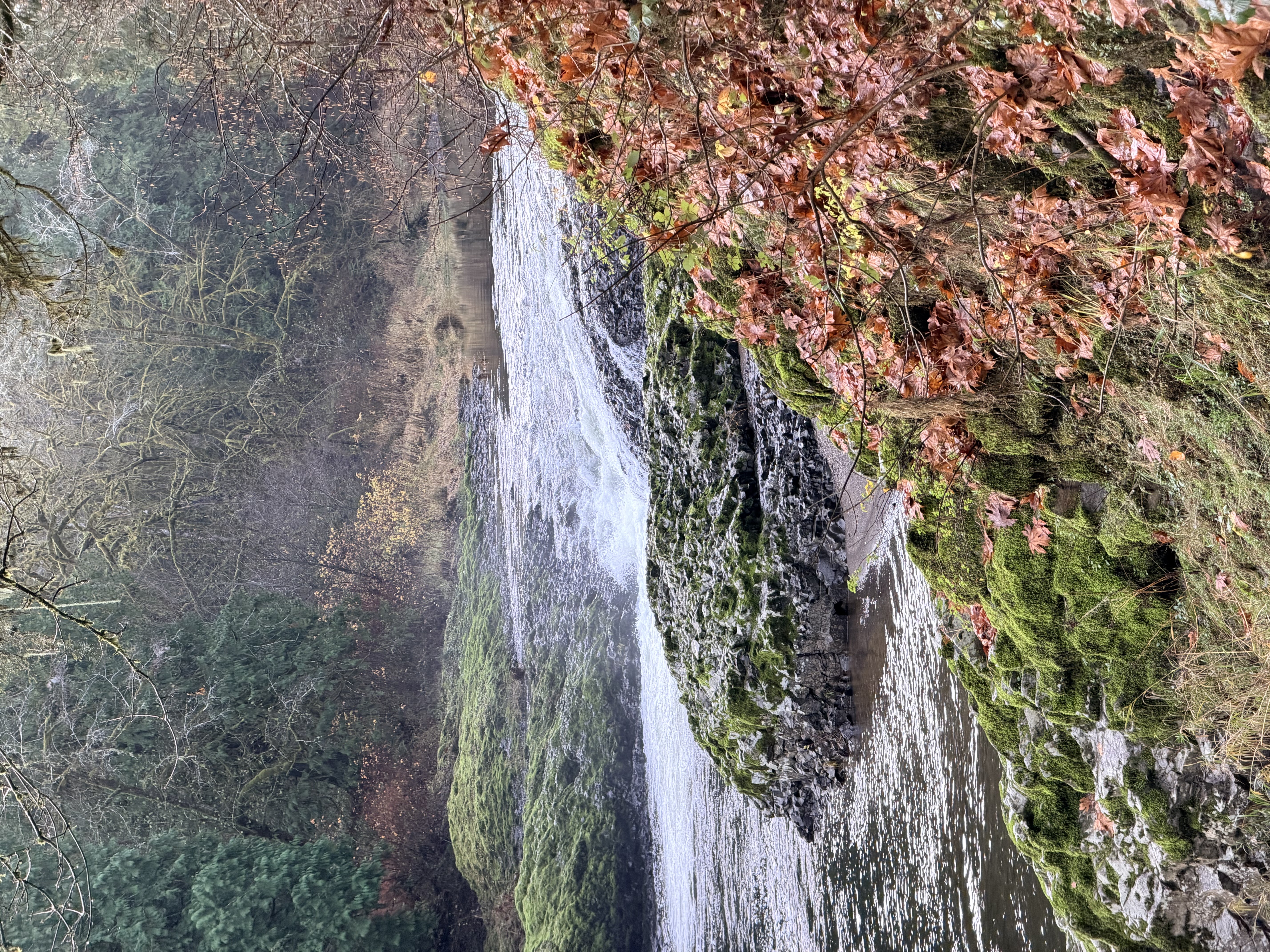 Rainbow Falls State Park Photo Bundle (5 Natural Images) 2