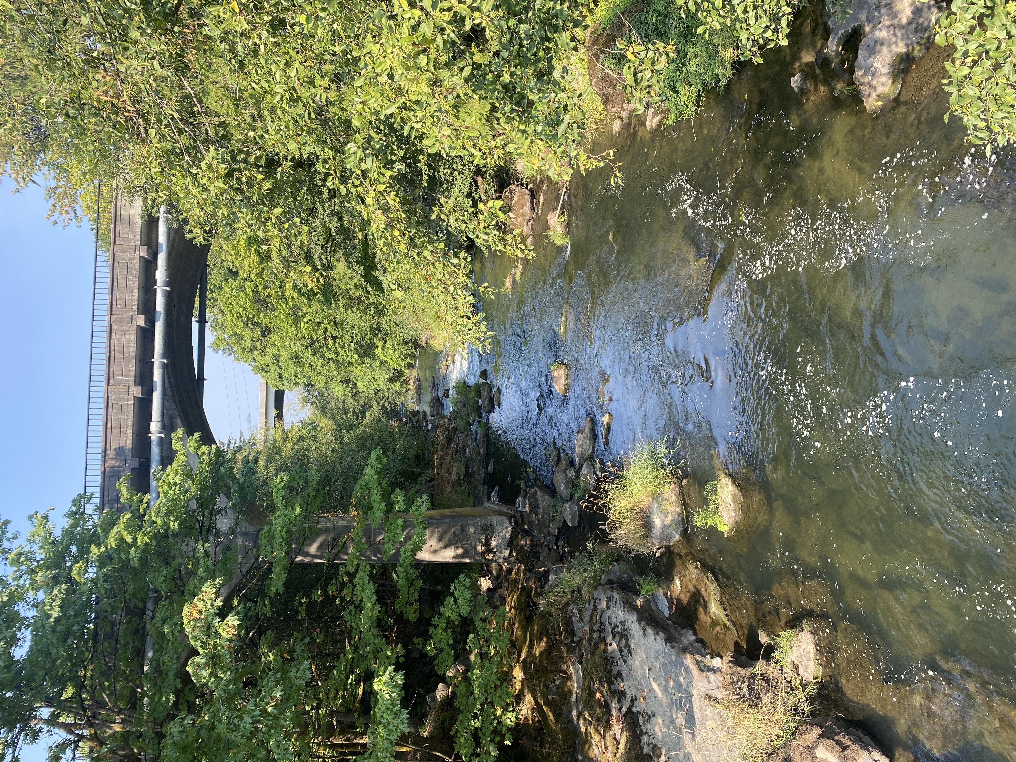 Tumwater Falls, Washington — 5-Photo Nature Set