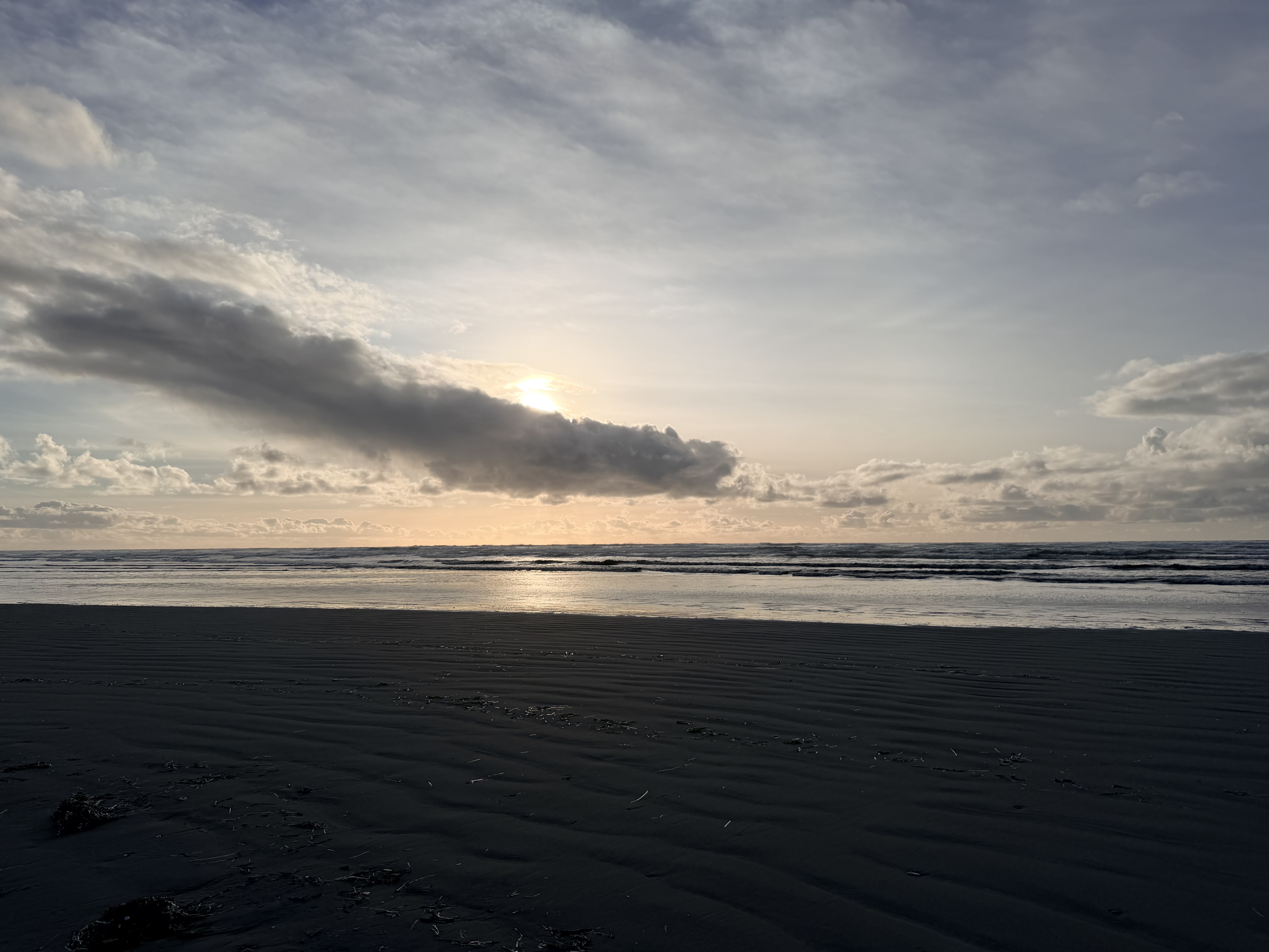 Grayland State Park Fall Photo Bundle (5 Natural Images)