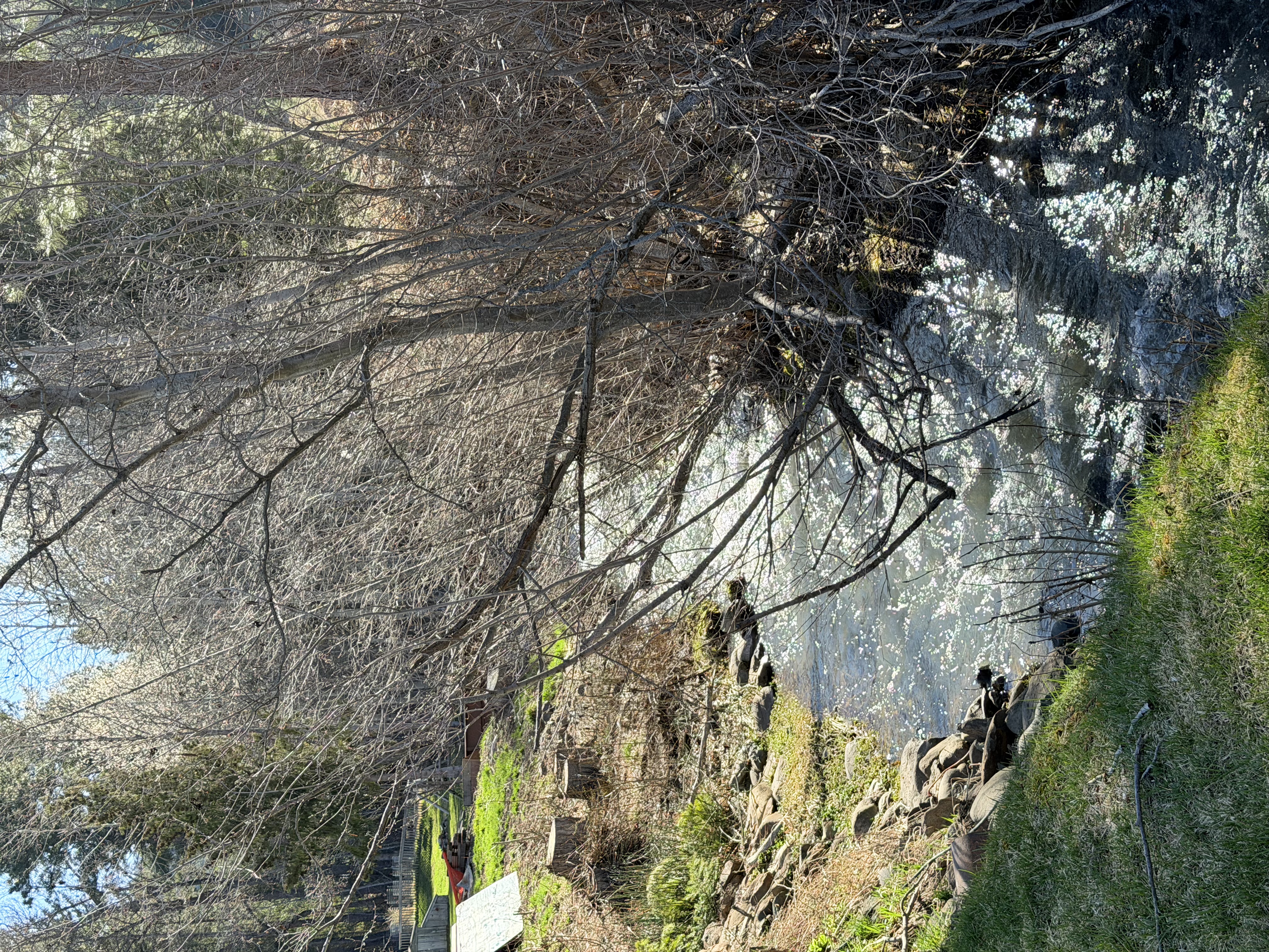 Historical Town of Liberty, Washington Photo Bundle (5-Pack)