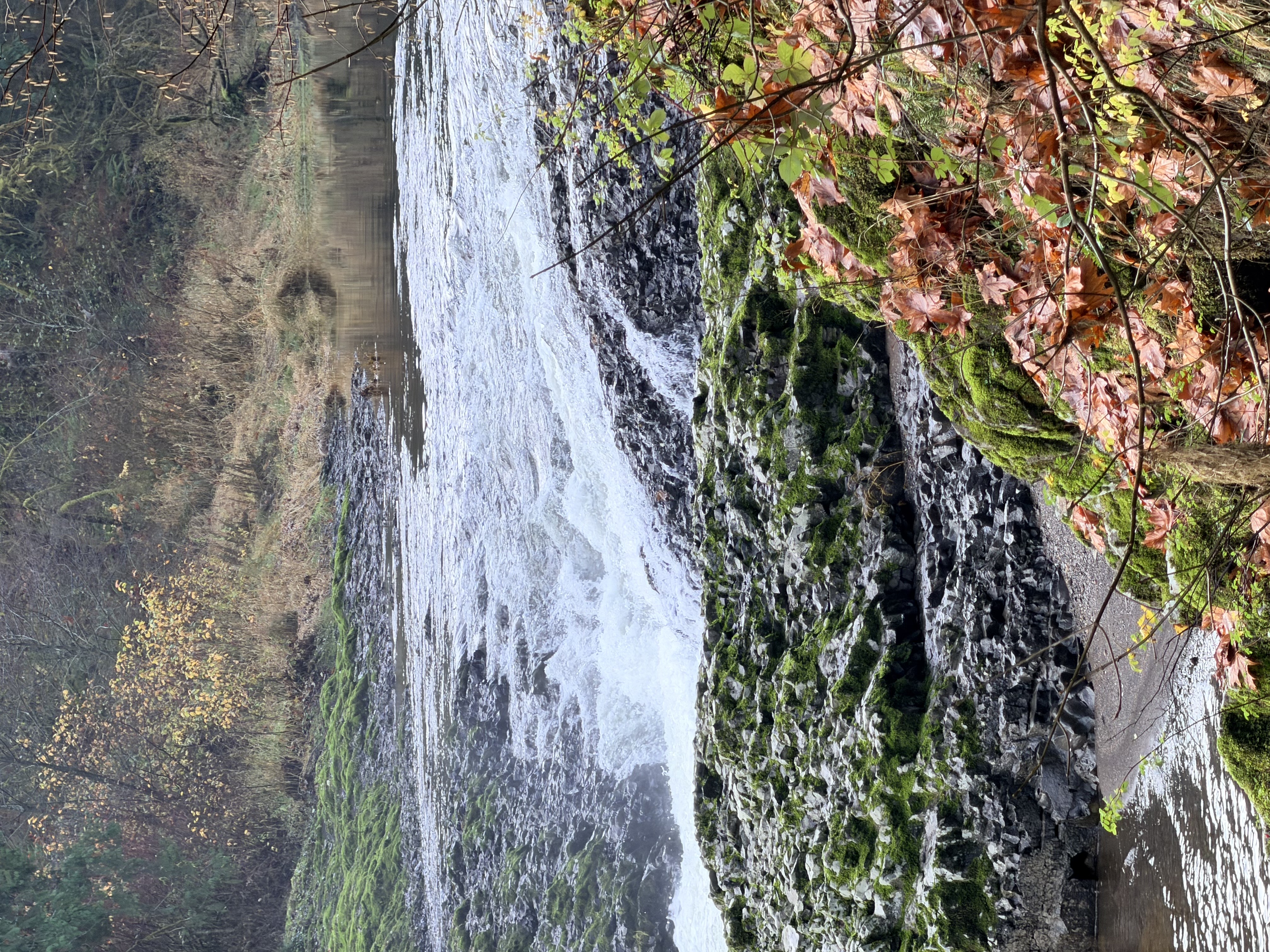 Rainbow Falls State Park Photo Bundle (5 Natural Images)