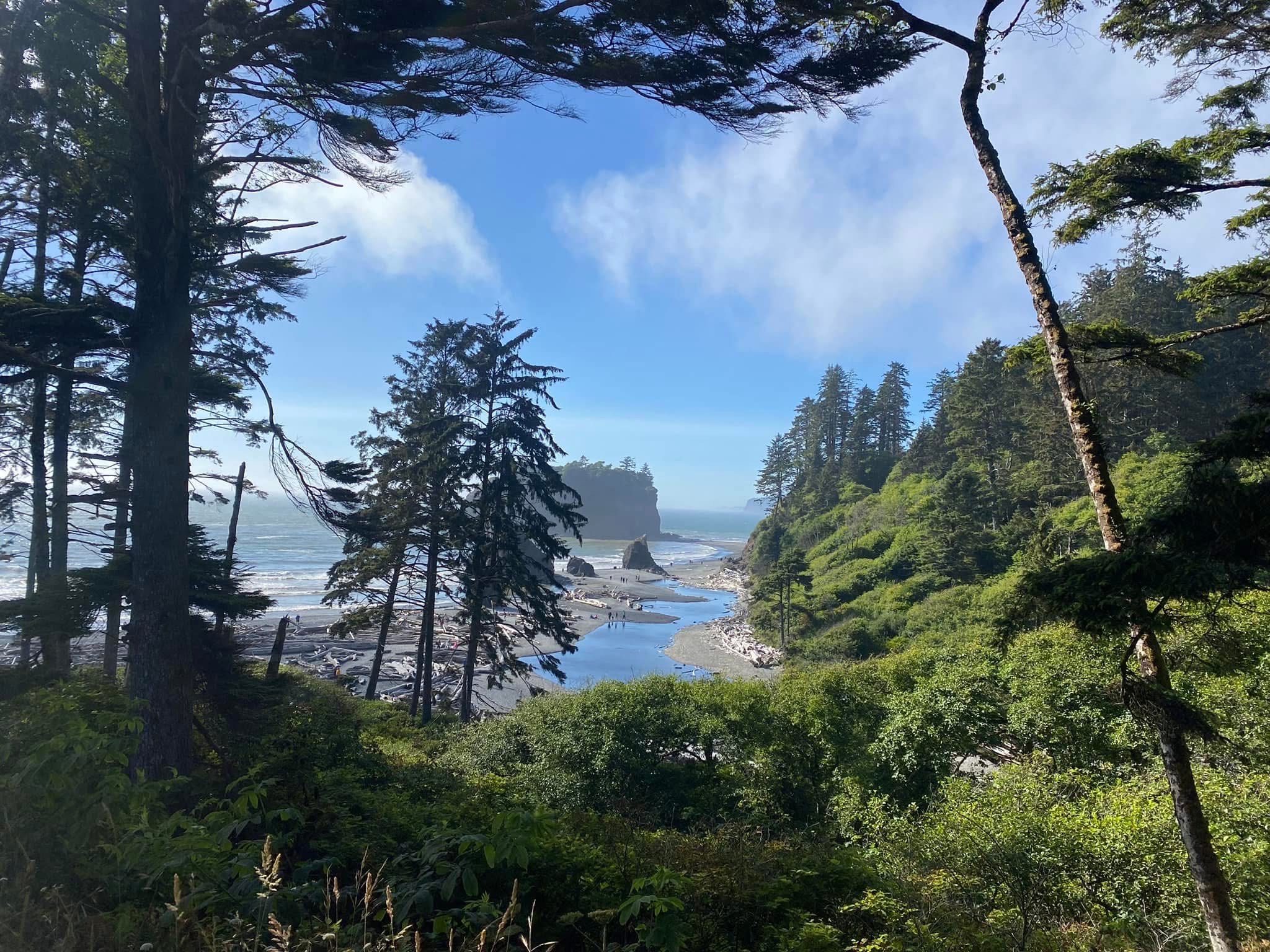 Ruby Beach, Washington Photo Bundle (5 Natural Images)